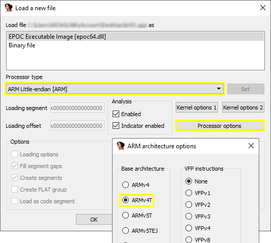 Load
      file in IDA Pro